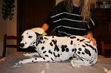 BAIN - DALMATIEN 051